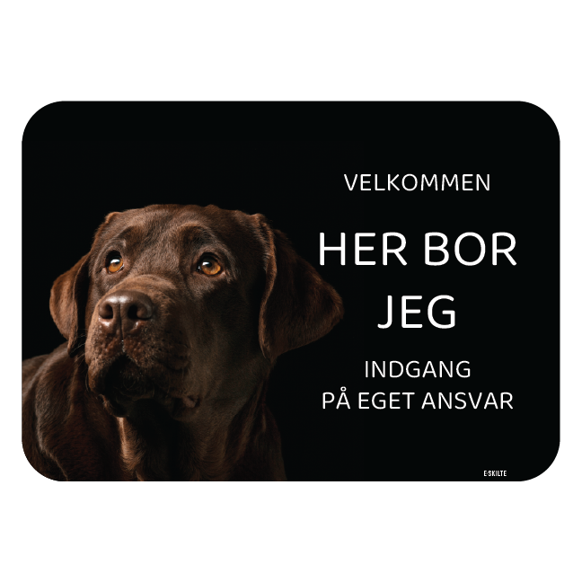 Her bor jeg skilt hund Labrador