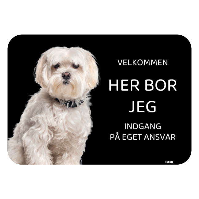 Her bor jeg skilt hund Coton de tulear Bomuldshund
